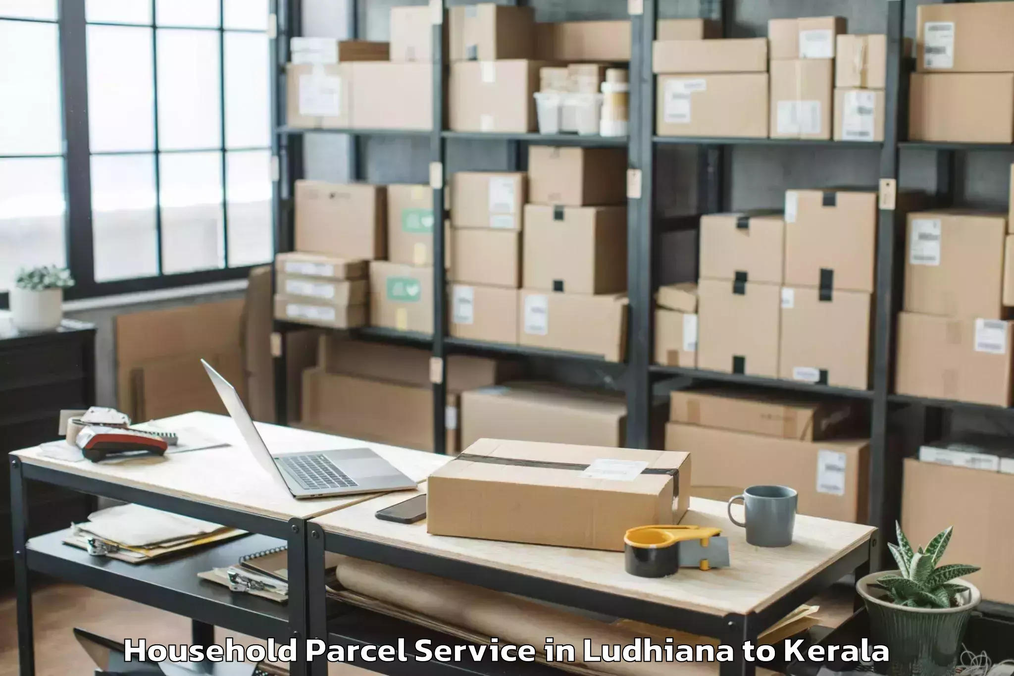 Reliable Ludhiana to Kollam Household Parcel